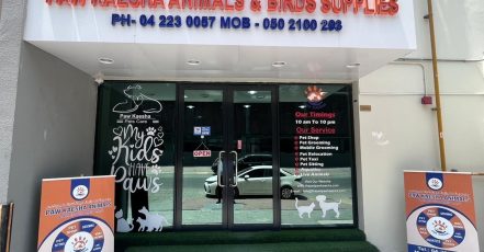 Pet Store Dubai TMLH.com Special Offers, Deals & Discounts in Turkey