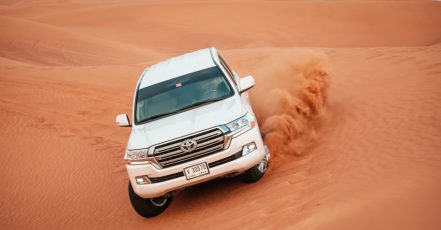 Platinum Desert Safari Dubai TMLH.com Special Offers, Deals & Discounts in Turkey