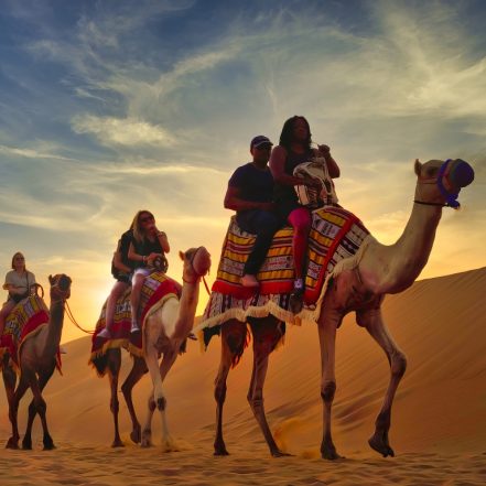 Premium Red Dunes Safari with Camel Ride & 3 Cuisines at Al Khayma Camp – Desert safaris TMLH.com Special Offers, Deals & Discounts in Turkey