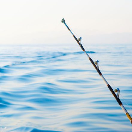 Private fishing boat tour – Sightseeing and Tours TMLH.com Special Offers, Deals & Discounts in Turkey