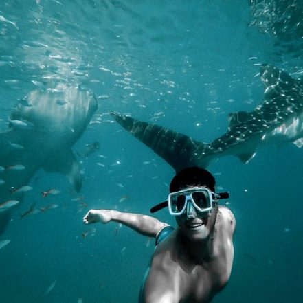 Private group Boating Experience with Dolphins Watching & Snorkeling – Sightseeing and Tours TMLH.com Special Offers, Deals & Discounts in Turkey