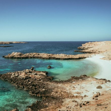 Private group tour of Daymaniyat Islands – Sightseeing and Tours TMLH.com Special Offers, Deals & Discounts in Turkey