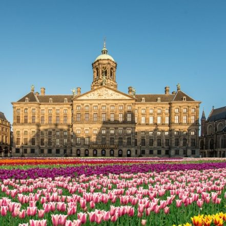 Royal Palace Amsterdam (Koninklijk Paleis): Entry Ticket – Recently Added Experiences TMLH.com Special Offers, Deals & Discounts in Turkey