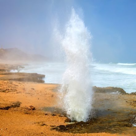 Salalah: Full-Day Beach Escapade Al Mughsail Beach & Fazayah Beach – Recently Added Experiences TMLH.com Special Offers, Deals & Discounts in Turkey
