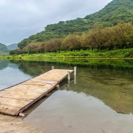 Salalah: Full-Day Beach Escapade Hidden Beach & Rakyut Beach – Recently Added Experiences TMLH.com Special Offers, Deals & Discounts in Turkey