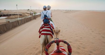 Savor The Ultimate Vip Desert Safari Tour With Home Pickup & Drop Off Dubai TMLH.com Special Offers, Deals & Discounts in Turkey