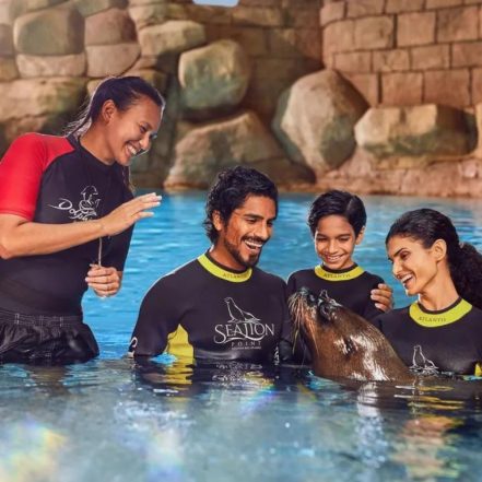 Sea Lion Experiences at Atlantis The Palm – Water Parks TMLH.com Special Offers, Deals & Discounts in Turkey