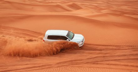 Self-Drive Evening Desert Safari Sharjah & N. Emirates TMLH.com Special Offers, Deals & Discounts in Turkey