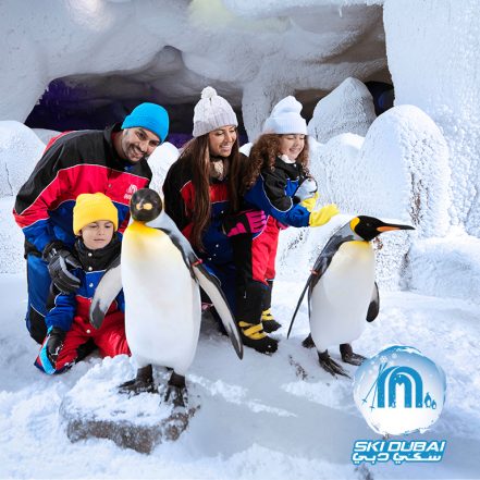 Ski Dubai: Snow Premium with Penguin Encounter – Must-see attractions TMLH.com Special Offers, Deals & Discounts in Turkey