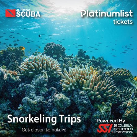 Snorkeling Daily Trips in Jeddah – Attractions Special Offers TMLH.com Special Offers, Deals & Discounts in Turkey