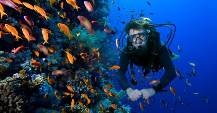 Snorkeling Or Scuba Diving Experience At Al Boom Diving Dubai TMLH.com Special Offers, Deals & Discounts in Turkey