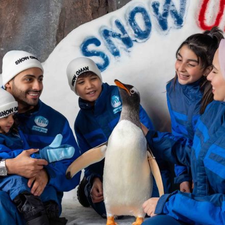 Snow Oman – Top-Rated Attractions TMLH.com Special Offers, Deals & Discounts in Turkey