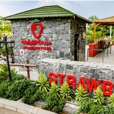 Strawberry Farm – Top-Rated Attractions TMLH.com Special Offers, Deals & Discounts in Turkey