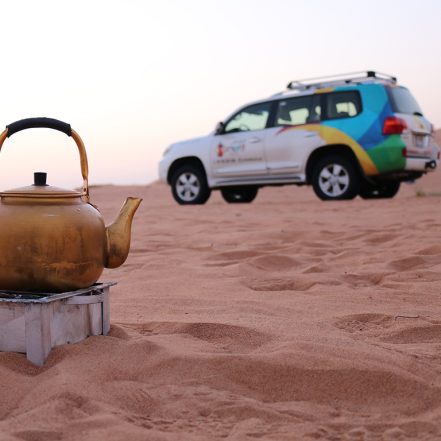 Sunrise and Wildlife Experience in the Desert – Desert safaris TMLH.com Special Offers, Deals & Discounts in Turkey
