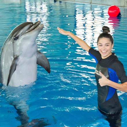 Swimming With Dolphins – Dubai Dolphinarium – Dubai Dolphinarium TMLH.com Special Offers, Deals & Discounts in Turkey
