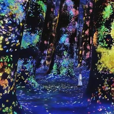 TeamLab Phenomena Abu Dhabi – Museums TMLH.com Special Offers, Deals & Discounts in Turkey
