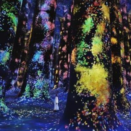TeamLab Phenomena + Qasr Al Watan – Combo – Recently Added Experiences TMLH.com Special Offers, Deals & Discounts in Turkey