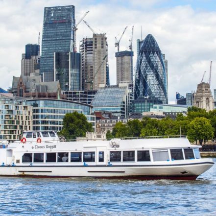 Thames Cruise: Westminster to Tower Bridge (Butler’s Wharf) with optional return – Boat Tours and Cruises TMLH.com Special Offers, Deals & Discounts in Turkey
