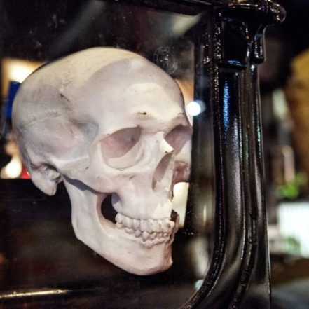 The Ghost Bus Tours – York – Sightseeing and Tours TMLH.com Special Offers, Deals & Discounts in Turkey