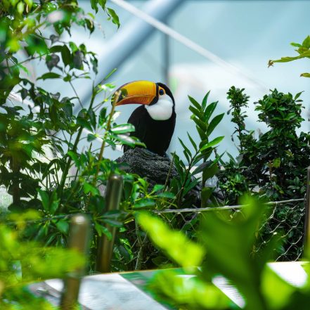 The Green Planet Dubai – Theme Parks TMLH.com Special Offers, Deals & Discounts in Turkey