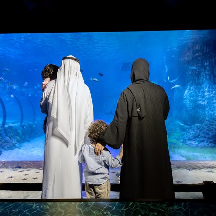 The National Aquarium Abu Dhabi – Experiences TMLH.com Special Offers, Deals & Discounts in Turkey