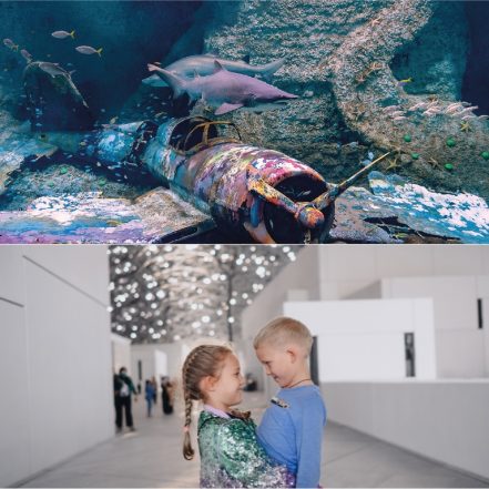 The National Aquarium + Louvre Abu Dhabi – Combo – Combos and more adventures TMLH.com Special Offers, Deals & Discounts in Turkey