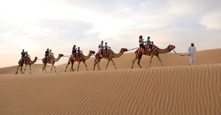Tour – Bike Dubai TMLH.com Special Offers, Deals & Discounts in Turkey