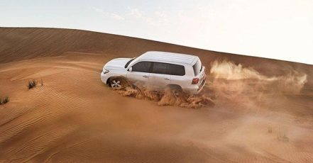 Tour – Guided Dubai TMLH.com Special Offers, Deals & Discounts in Turkey