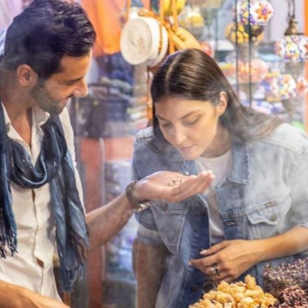 Traditional Dubai City Tour – Attractions Special Offers TMLH.com Special Offers, Deals & Discounts in Turkey