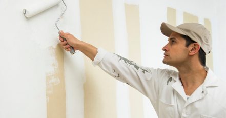 Transform Your Apartment With A Fresh Coat Of Paint Dubai TMLH.com Special Offers, Deals & Discounts in Turkey