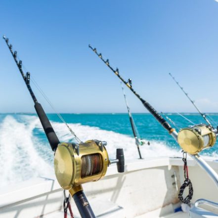 Trolling in Ocean for Big Fish – Top-Rated Attractions TMLH.com Special Offers, Deals & Discounts in Turkey