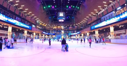 Two-Hour Ice Skating Session At Sport Society Sharjah & N. Emirates TMLH.com Special Offers, Deals & Discounts in Turkey