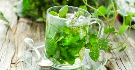 Unlock The Secrets Of Herbs With Master Herbalist Course National Deal TMLH.com Special Offers, Deals & Discounts in Turkey