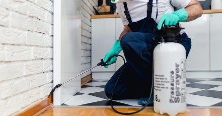 Up To 48% Off On At Bugxen Pest Control And Cleaning Services Llc Dubai TMLH.com Special Offers, Deals & Discounts in Turkey
