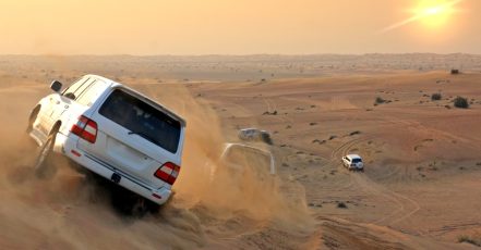 Vip Desert Safari Sharjah & N. Emirates TMLH.com Special Offers, Deals & Discounts in Turkey