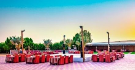 Vip Desert Safari With Pick-Up Sharjah & N. Emirates TMLH.com Special Offers, Deals & Discounts in Turkey