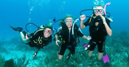 Vip Scuba Diving Tour Dubai TMLH.com Special Offers, Deals & Discounts in Turkey