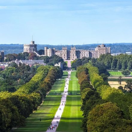 Wonderful Westminster tour and Windsor Castle visit – Sightseeing and Tours TMLH.com Special Offers, Deals & Discounts in Turkey